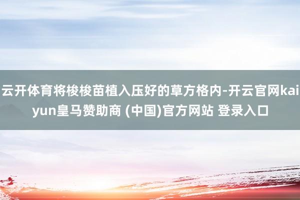 云开体育将梭梭苗植入压好的草方格内-开云官网kaiyun皇马赞助商 (中国)官方网站 登录入口