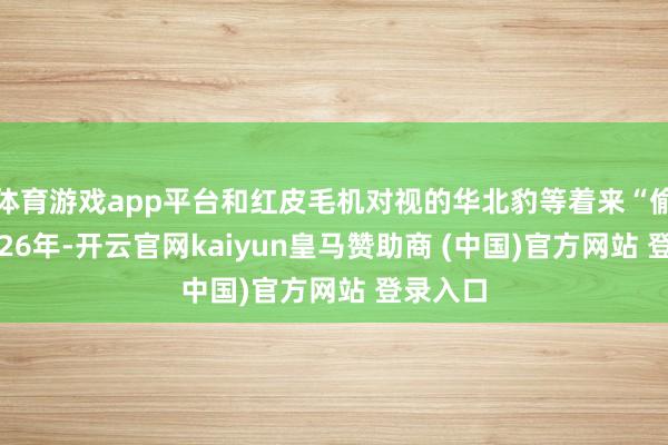 体育游戏app平台和红皮毛机对视的华北豹等着来“偷吃”2026年-开云官网kaiyun皇马赞助商 (中国)官方网站 登录入口