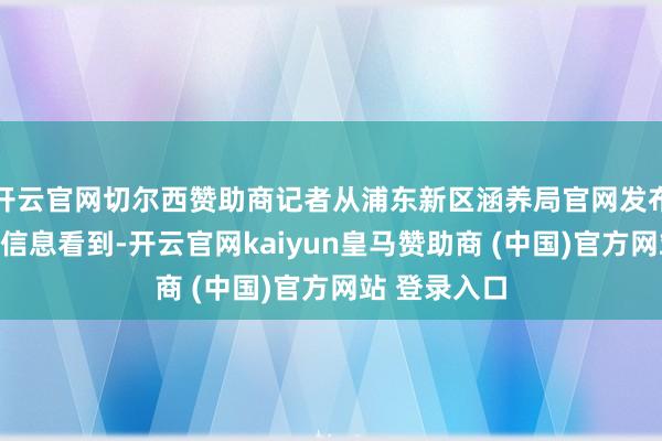 开云官网切尔西赞助商记者从浦东新区涵养局官网发布的关联公示信息看到-开云官网kaiyun皇马赞助商 (中国)官方网站 登录入口